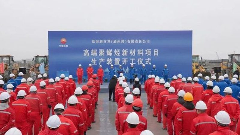 可降解高分子医疗器械材料：价格背后的考量因素**